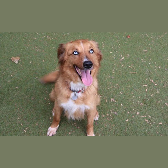 Photo of Rocket