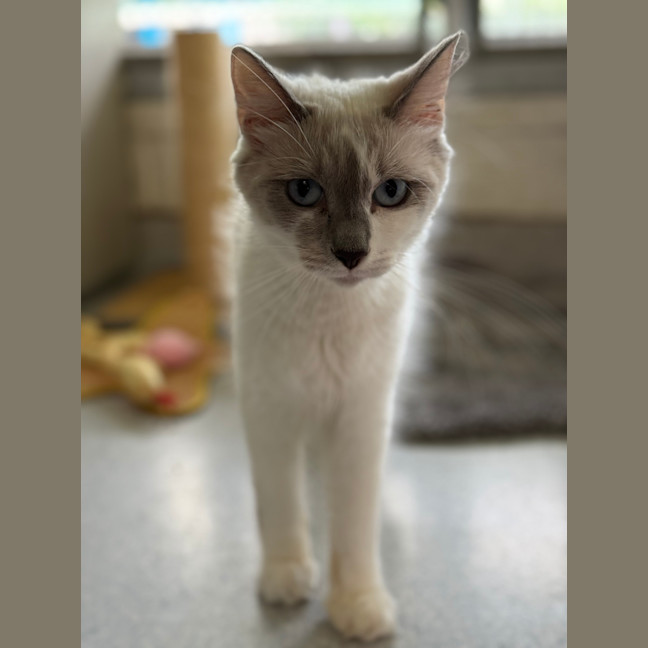 Photo of Luna