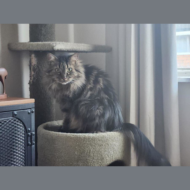 Photo of Molly Lozano