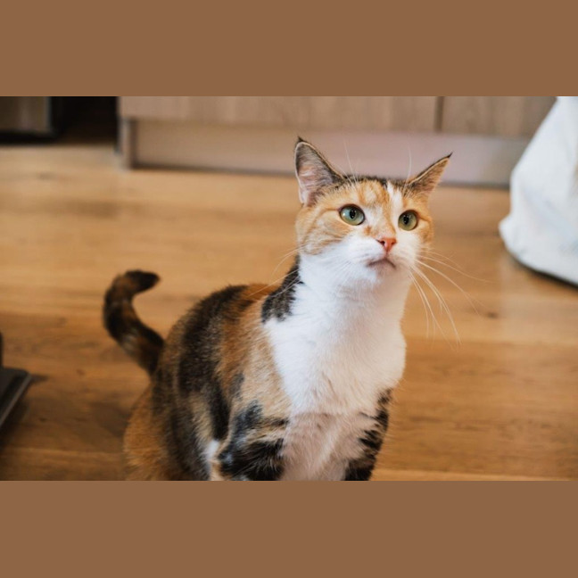 Photo of Genevieve Illingworth