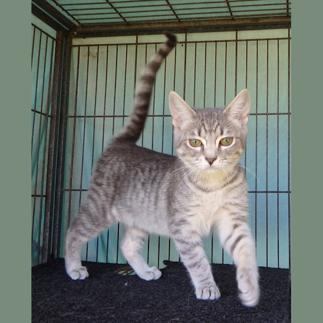 Photo of Brooke And Bruce