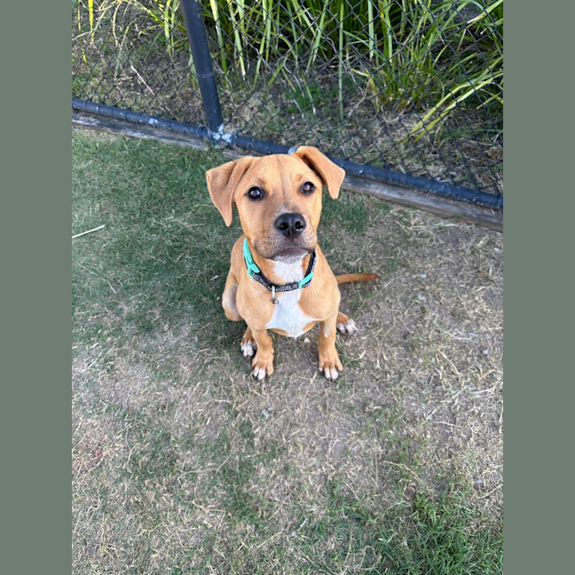 Photo of Butters
