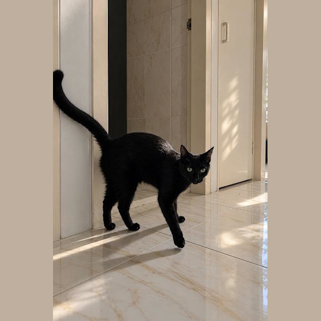 Photo of Claudine