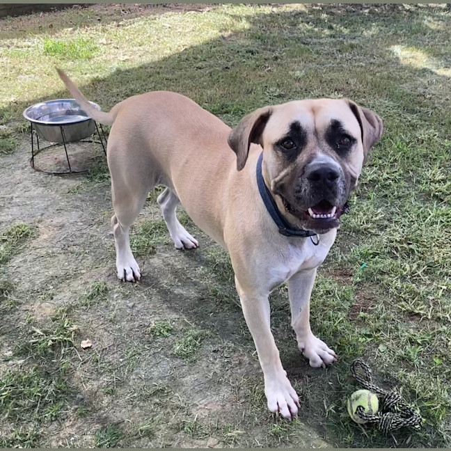 Photo of Phoebe