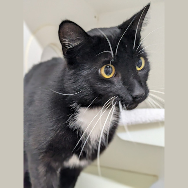 Photo of 🥐 Jacques 6758 🥐