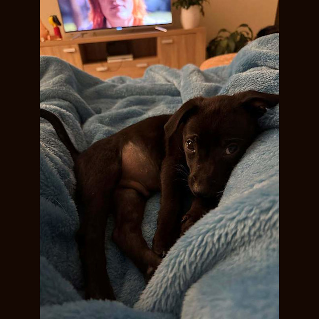 Photo of Benny