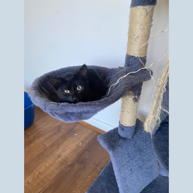 Photo of Wednesday
