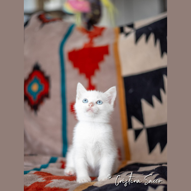 Photo of Jill