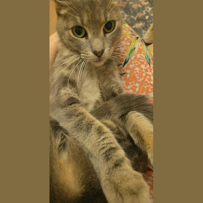 Photo of Blair 