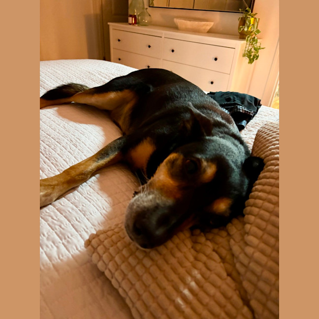 Photo of Delia
