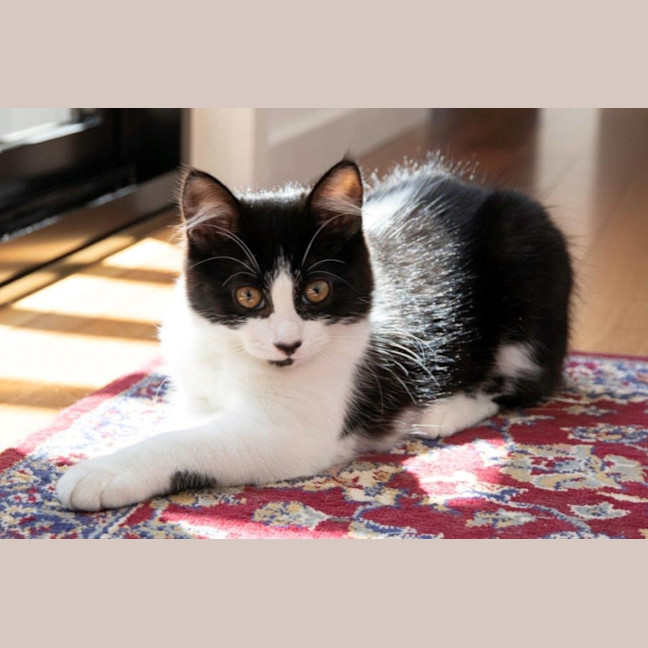 Photo of Gretel Moriarty