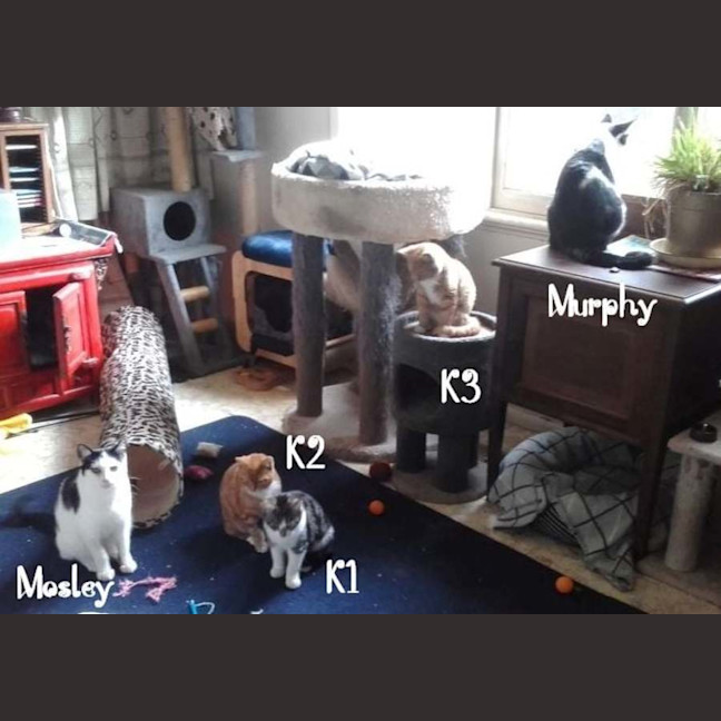 Photo of K3