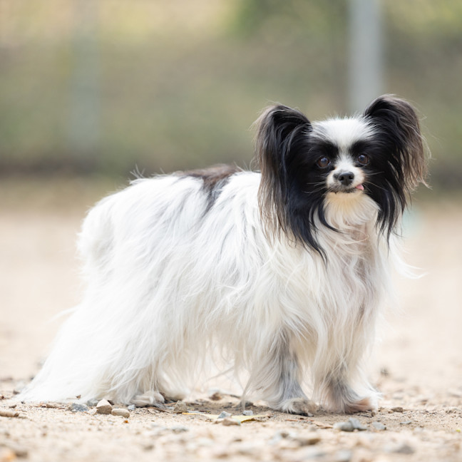 Photo of Grace