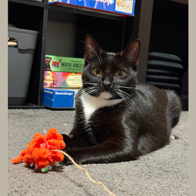 Photo of Novah