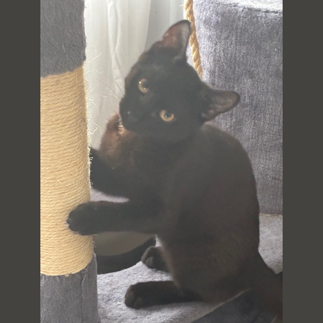 Photo of Ash