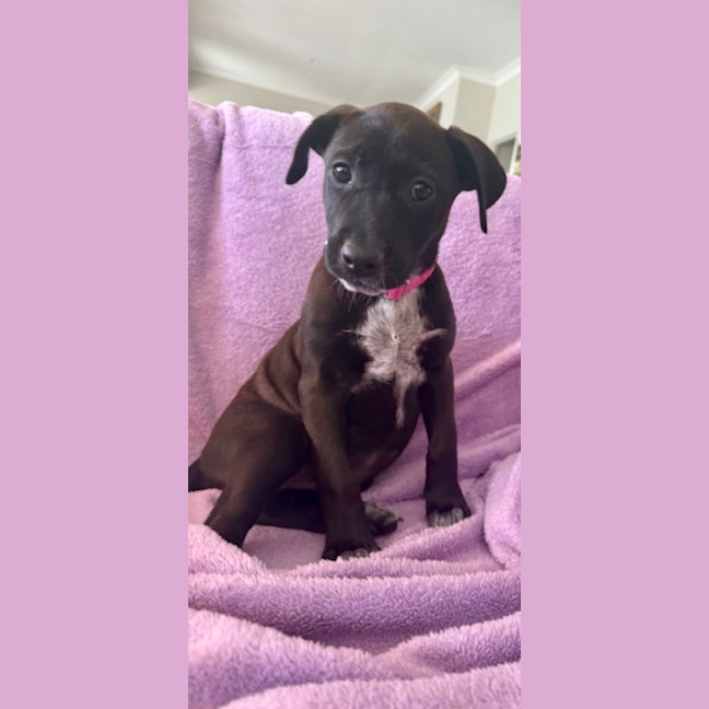Photo of Cindy