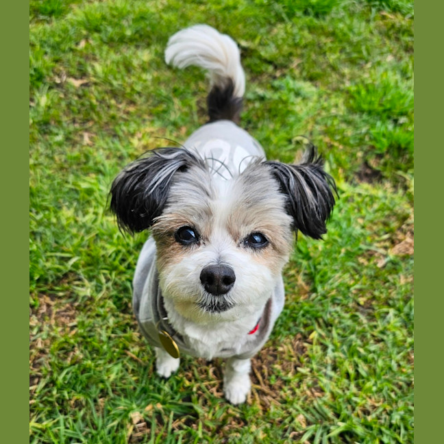 Photo of Senorita