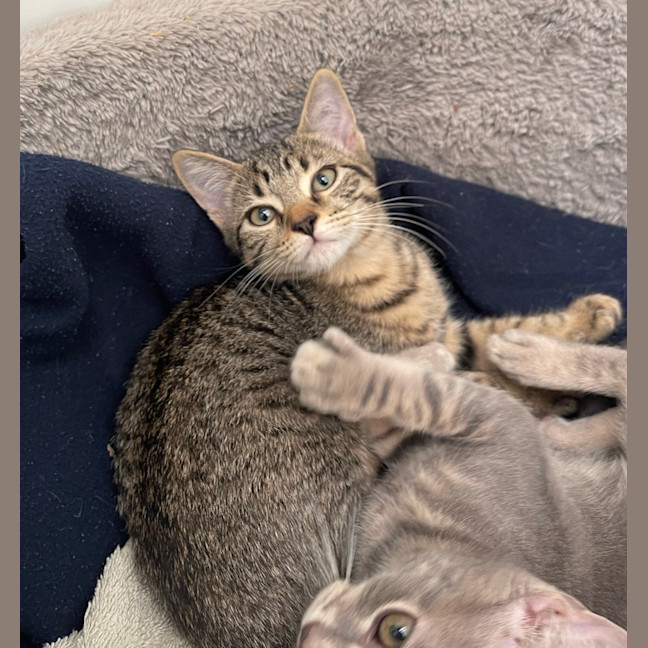 Photo of Lily