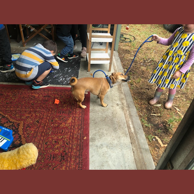 Photo of Ginger Meggs