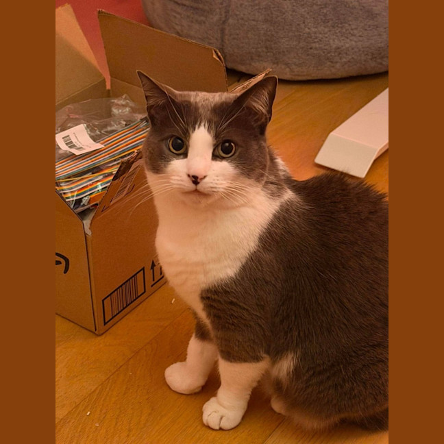 Photo of Whis   In Foster Care In Thornbury