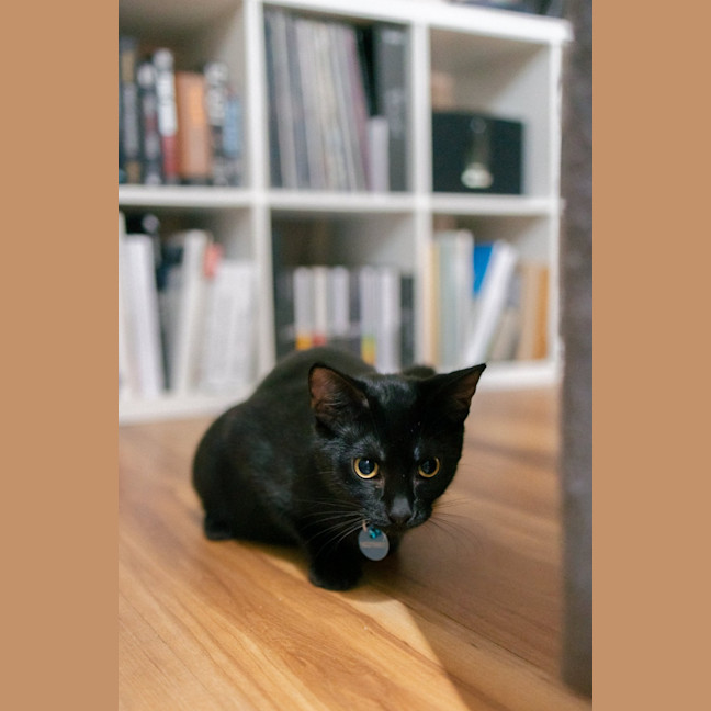 Photo of Percy