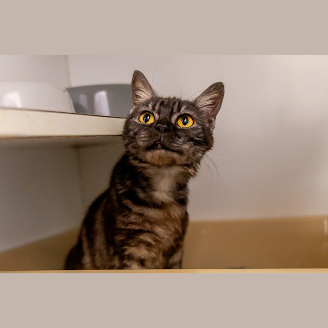 Photo of Pretty Woman