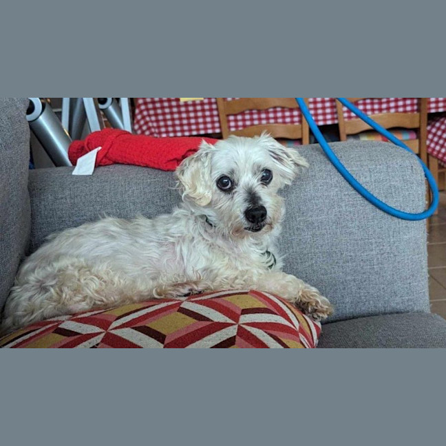 Photo of Simon Babbington