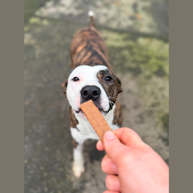 Photo of Annie