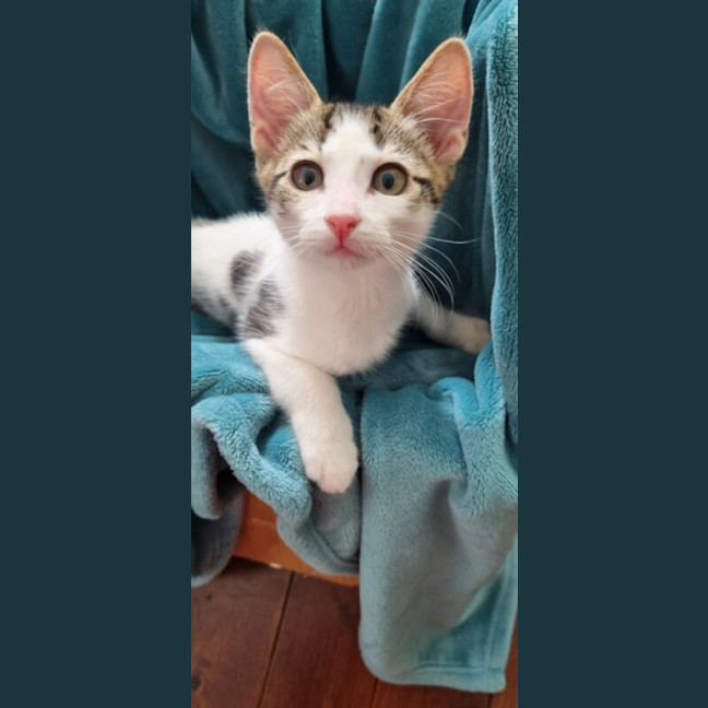 Photo of Max