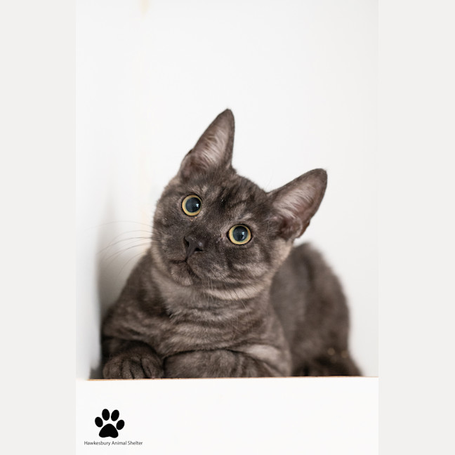 Photo of Bucky