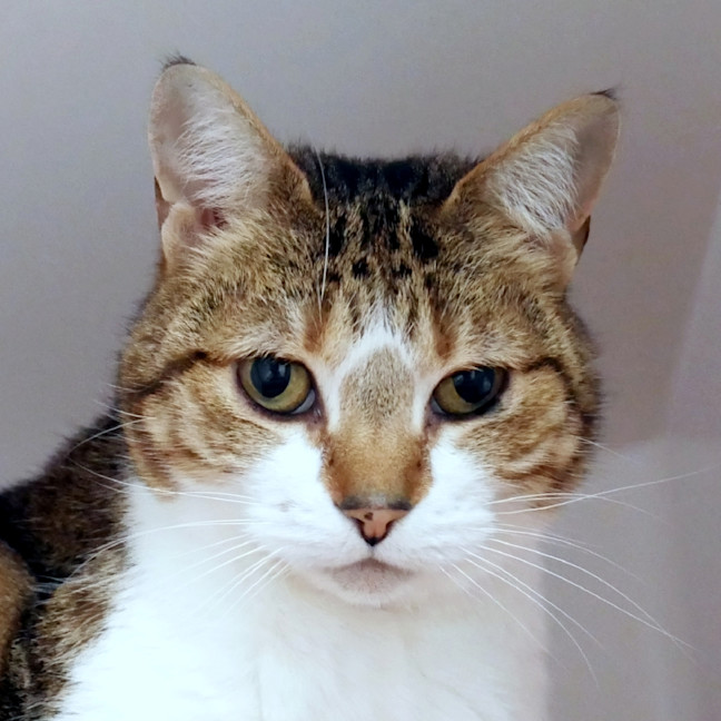 Photo of Charlie Sta015296