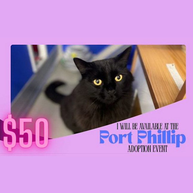 Photo of Spook