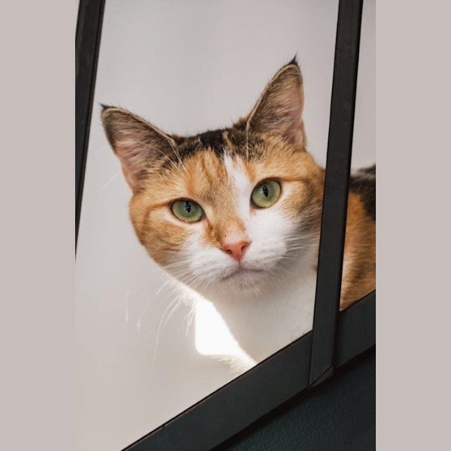 Photo of Genevieve Illingworth