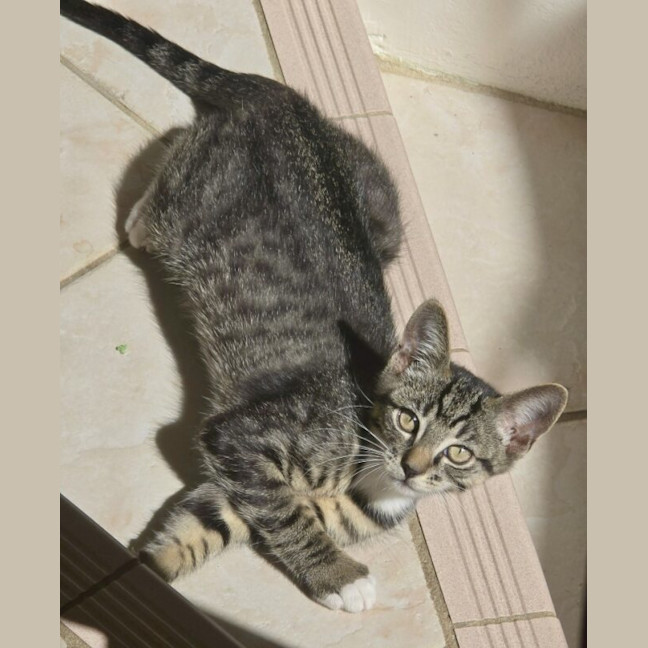 Photo of Jeffrey