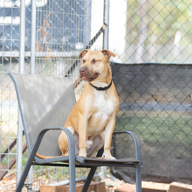 Photo of Theodore