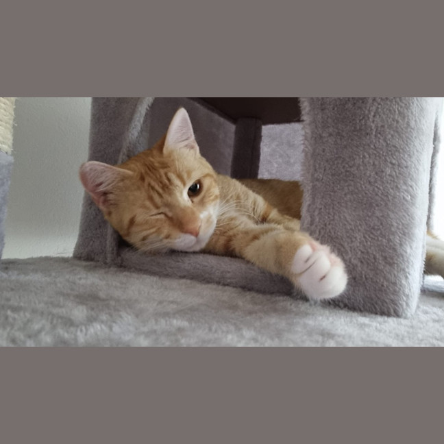 Photo of Oli