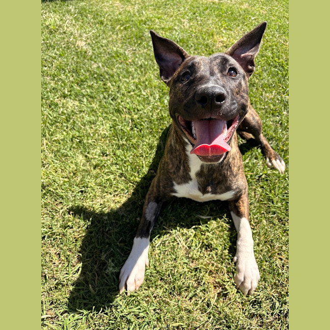 Photo of Lila 