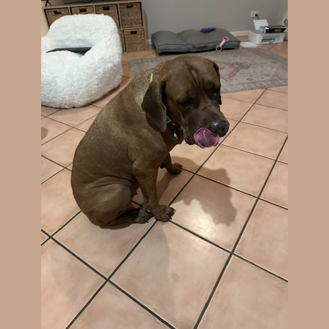 Photo of Hazel