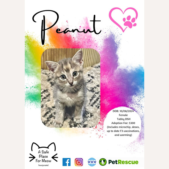 Photo of Peanut