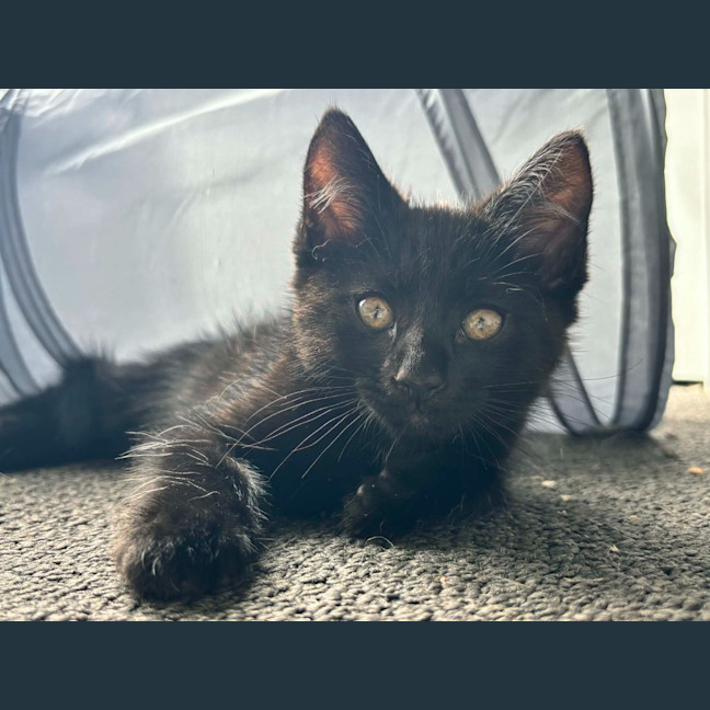 Photo of Bruce