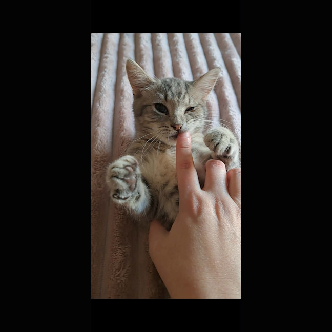 Photo of Bean