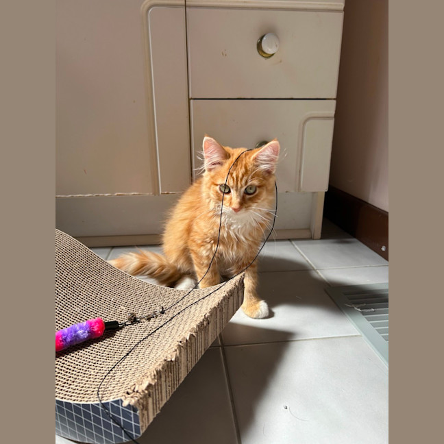 Photo of Tobias 💙