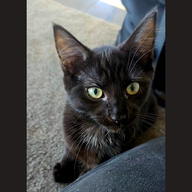 Photo of Clive