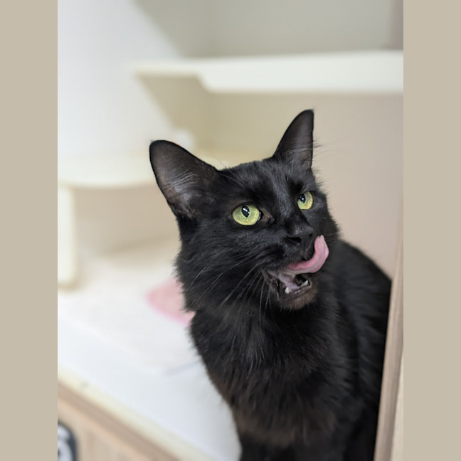 Photo of 🍓 Miriam 5923 🍓