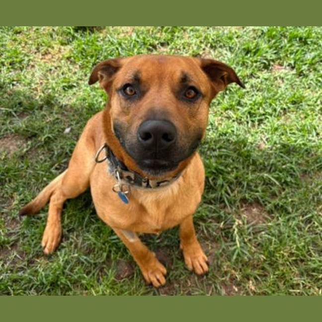 Photo of Biggie Paws