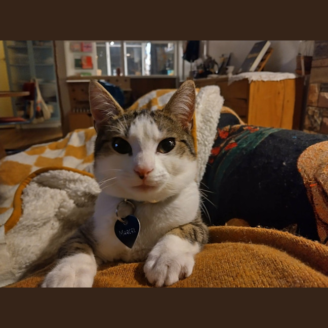 Photo of Marcel