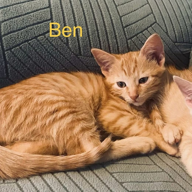 Photo of Ben