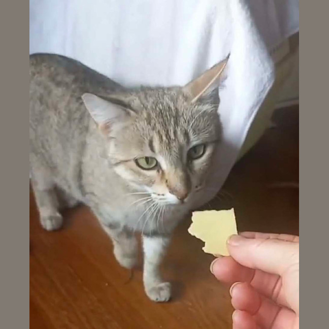 Photo of Esmerelda (Essie) 