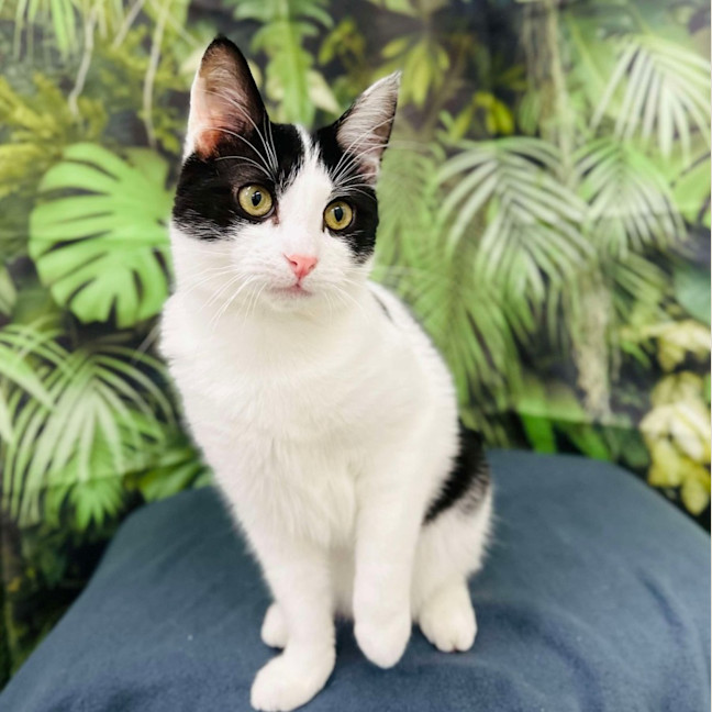 Photo of Asha   Located In Preston