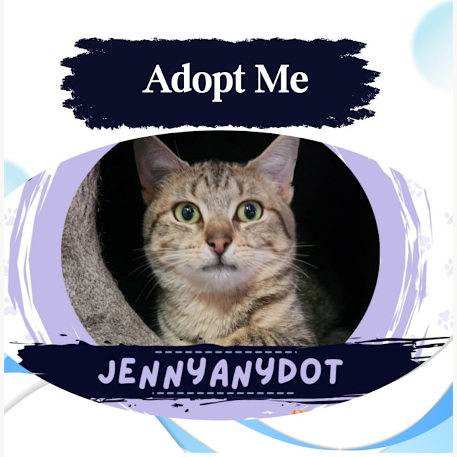 Photo of Jennyanydot